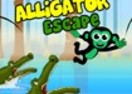 Alligator Escape