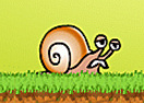 Snail Adventure